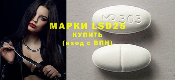 spice Осинники