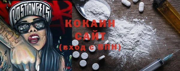 spice Осинники