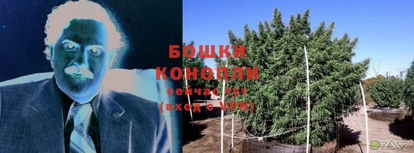 героин Пересвет