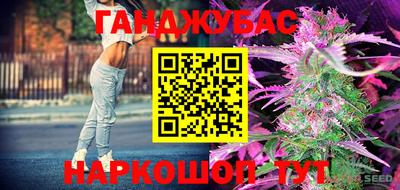 Альфа ПВП Заволжье
