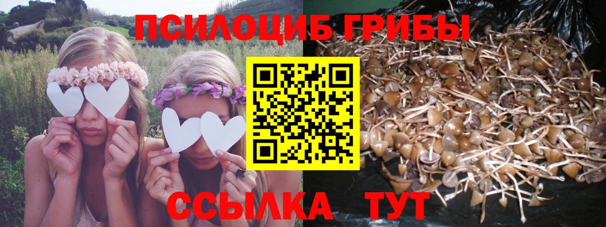 APVP СК   Экстази  Вход с VPN  Шумерля  Конопля  ГАШ  Меф  