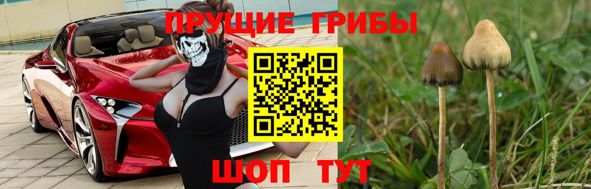 Псилоцибиновые грибы MAGIC MUSHROOMS Шумерля