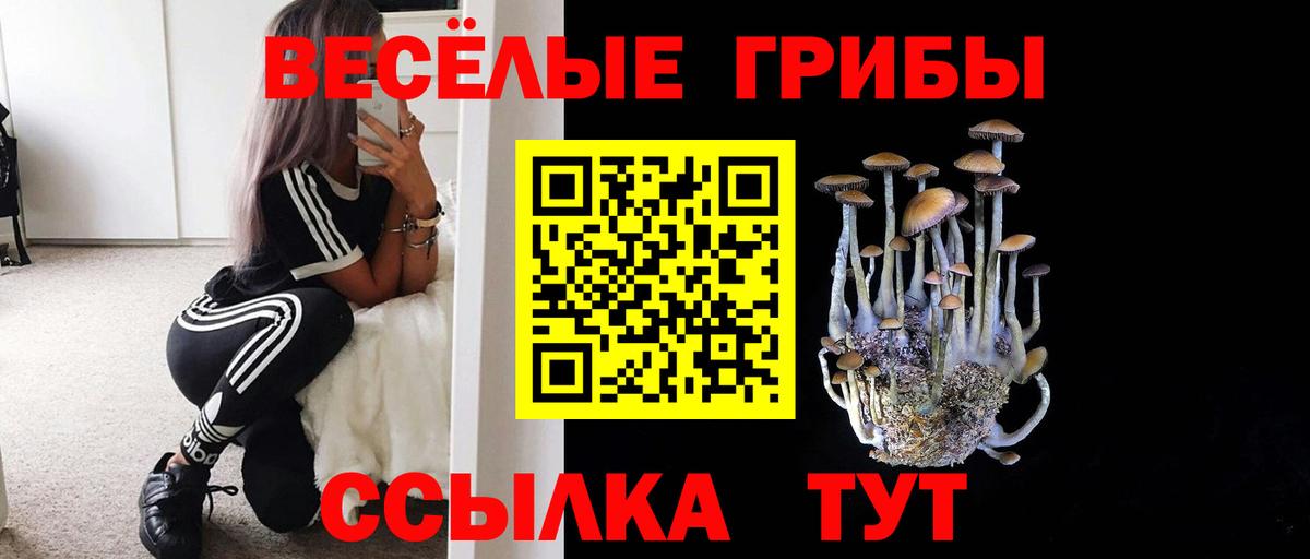 Галлюциногенные грибы мицелий  Вход с VPN  Шумерля 