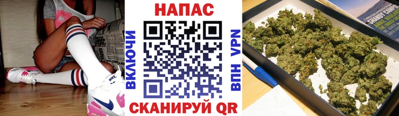 МАРИХУАНА Amnesia  Шумерля 